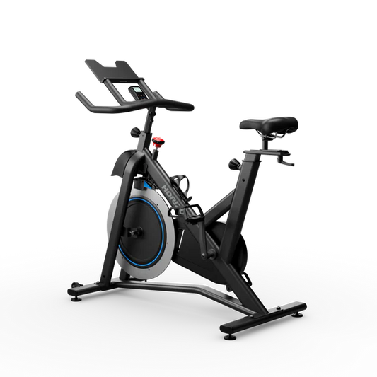 Magnetic Spin Bike DDK SPORTS